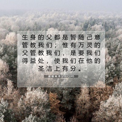 Picture 07 - 希 伯 来 书 12:10 CUVS - 生 身 的 父 都 是 暂 随 己 意 管 教 - Bible Verse Picture