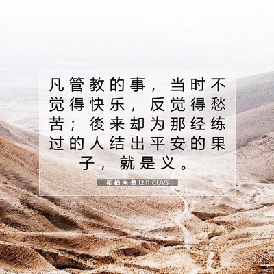Picture 07 - 希 伯 来 书 12:11 CUVS - 凡 管 教 的 事 ， 当 时 不 觉 得 快 - Bible Verse Picture