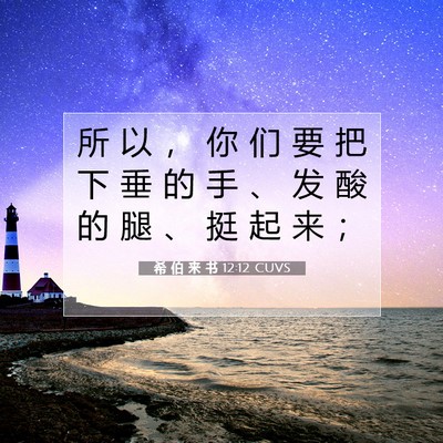 Picture 07 - 希 伯 来 书 12:12 CUVS - 所 以 ， 你 们 要 把 下 垂 的 手 、 - Bible Verse Picture