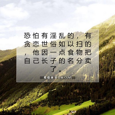 Picture 07 - 希 伯 来 书 12:16 CUVS - 恐 怕 有 淫 乱 的 ， 有 贪 恋 世 俗 - Bible Verse Picture