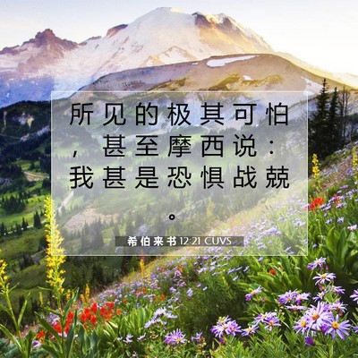 Picture 07 - 希 伯 来 书 12:21 CUVS - 所 见 的 极 其 可 怕 ， 甚 至 摩 西 - Bible Verse Picture