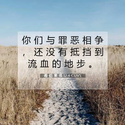 Picture 07 - 希 伯 来 书 12:4 CUVS - 你 们 与 罪 恶 相 争 ， 还 没 有 抵 - Bible Verse Picture