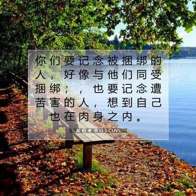 Picture 07 - 希 伯 来 书 13:3 CUVS - 你 们 要 记 念 被 捆 绑 的 人 ， 好 - Bible Verse Picture