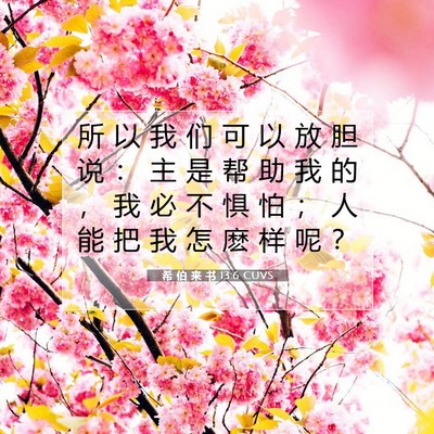 Picture 07 - 希 伯 来 书 13:6 CUVS - 所 以 我 们 可 以 放 胆 说 ： 主 是 - Bible Verse Picture