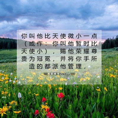 Picture 07 - 希 伯 来 书 2:7 CUVS - 你 叫 他 比 天 使 微 小 一 点 （ 或 - Bible Verse Picture