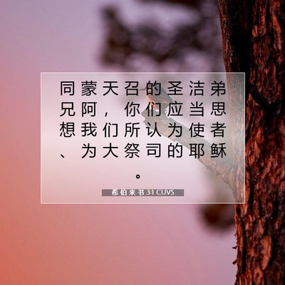 Picture 07 - 希 伯 来 书 3:1 CUVS - 同 蒙 天 召 的 圣 洁 弟 兄 阿 ， 你 - Bible Verse Picture