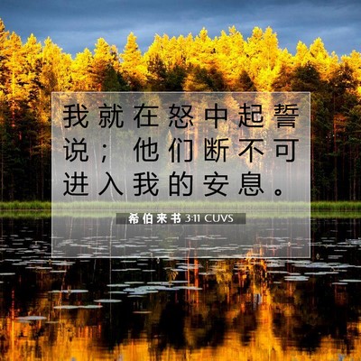 Picture 07 - 希 伯 来 书 3:11 CUVS - 我 就 在 怒 中 起 誓 说 ； 他 们 断 - Bible Verse Picture