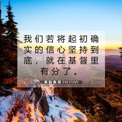 Picture 07 - 希 伯 来 书 3:14 CUVS - 我 们 若 将 起 初 确 实 的 信 心 坚 - Bible Verse Picture