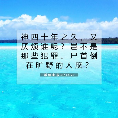 Picture 07 - 希 伯 来 书 3:17 CUVS - 神 四 十 年 之 久 ， 又 厌 烦 谁 呢 - Bible Verse Picture