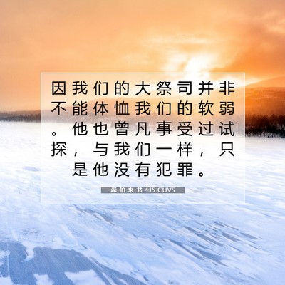 Picture 07 - 希 伯 来 书 4:15 CUVS - 因 我 们 的 大 祭 司 并 非 不 能 体 - Bible Verse Picture