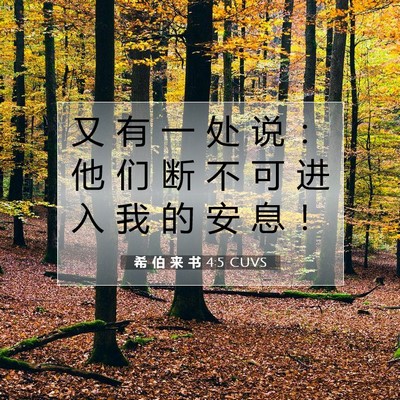 Picture 07 - 希 伯 来 书 4:5 CUVS - 又 有 一 处 说 ： 他 们 断 不 可 进 - Bible Verse Picture