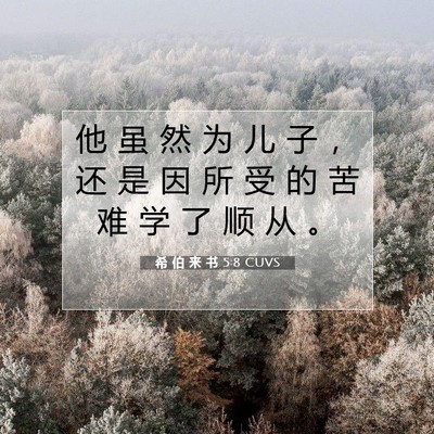 Picture 07 - 希 伯 来 书 5:8 CUVS - 他 虽 然 为 儿 子 ， 还 是 因 所 受 - Bible Verse Picture