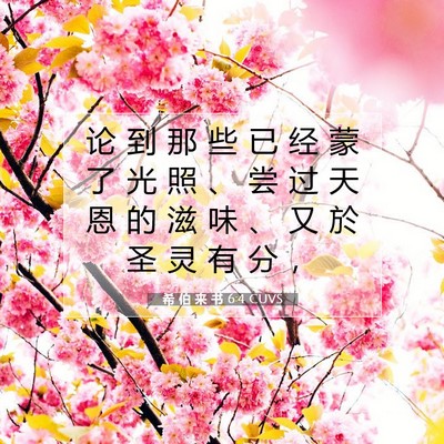 Picture 07 - 希 伯 来 书 6:4 CUVS - 论 到 那 些 已 经 蒙 了 光 照 、 尝 - Bible Verse Picture