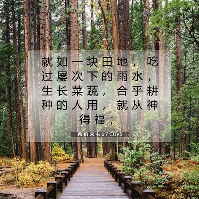Picture 07 - 希 伯 来 书 6:7 CUVS - 就 如 一 块 田 地 ， 吃 过 屡 次 下 - Bible Verse Picture