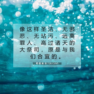 Picture 07 - 希 伯 来 书 7:26 CUVS - 像 这 样 圣 洁 、 无 邪 恶 、 无 玷 - Bible Verse Picture