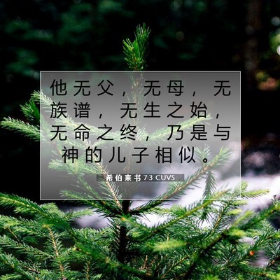 Picture 07 - 希 伯 来 书 7:3 CUVS - 他 无 父 ， 无 母 ， 无 族 谱 ， 无 - Bible Verse Picture