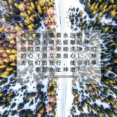 Picture 07 - 希 伯 来 书 9:14 CUVS - 何 况 基 督 藉 着 永 远 的 灵 ， 将 - Bible Verse Picture
