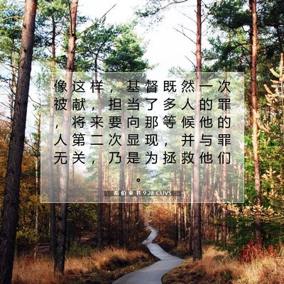 Picture 07 - 希 伯 来 书 9:28 CUVS - 像 这 样 ， 基 督 既 然 一 次 被 献 - Bible Verse Picture