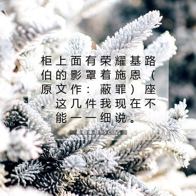 Picture 07 - 希 伯 来 书 9:5 CUVS - 柜 上 面 有 荣 耀 基 路 伯 的 影 罩 - Bible Verse Picture