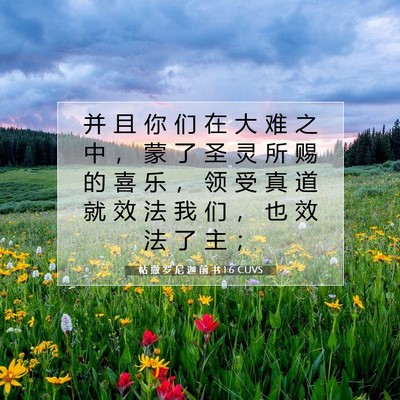 Picture 07 - 帖 撒 罗 尼 迦 前 书 1:6 CUVS - 并 且 你 们 在 大 难 之 中 ， 蒙 了 - Bible Verse Picture