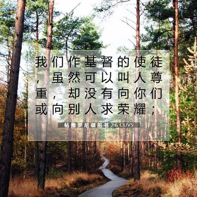 Picture 07 - 帖 撒 罗 尼 迦 前 书 2:6 CUVS - 我 们 作 基 督 的 使 徒 ， 虽 然 可 - Bible Verse Picture