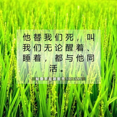 Picture 07 - 帖 撒 罗 尼 迦 前 书 5:10 CUVS - 他 替 我 们 死 ， 叫 我 们 无 论 醒 - Bible Verse Picture