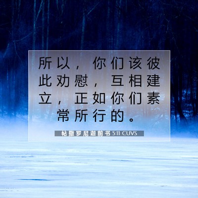Picture 07 - 帖 撒 罗 尼 迦 前 书 5:11 CUVS - 所 以 ， 你 们 该 彼 此 劝 慰 ， 互 - Bible Verse Picture