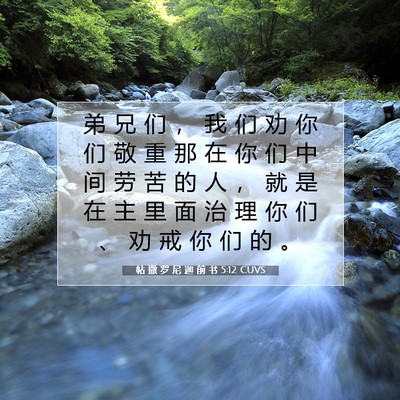 Picture 07 - 帖 撒 罗 尼 迦 前 书 5:12 CUVS - 弟 兄 们 ， 我 们 劝 你 们 敬 重 那 - Bible Verse Picture