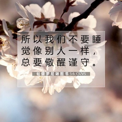 Picture 07 - 帖 撒 罗 尼 迦 前 书 5:6 CUVS - 所 以 我 们 不 要 睡 觉 像 别 人 一 - Bible Verse Picture