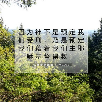 Picture 07 - 帖 撒 罗 尼 迦 前 书 5:9 CUVS - 因 为 神 不 是 预 定 我 们 受 刑 ， - Bible Verse Picture