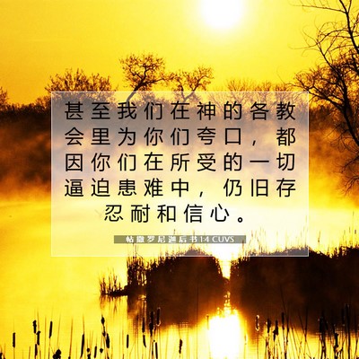 Picture 07 - 帖 撒 罗 尼 迦 后 书 1:4 CUVS - 甚 至 我 们 在 神 的 各 教 会 里 为 - Bible Verse Picture