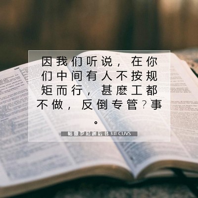 Picture 07 - 帖 撒 罗 尼 迦 后 书 3:11 CUVS - 因 我 们 听 说 ， 在 你 们 中 间 有 - Bible Verse Picture