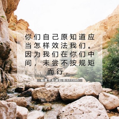 Picture 07 - 帖 撒 罗 尼 迦 后 书 3:7 CUVS - 你 们 自 己 原 知 道 应 当 怎 样 效 - Bible Verse Picture