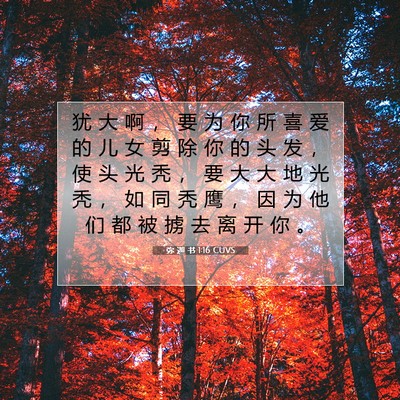Picture 07 - 弥 迦 书 1:16 CUVS - 犹 大 啊 ， 要 为 你 所 喜 爱 的 儿 - Bible Verse Picture