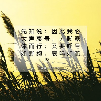 Picture 07 - 弥 迦 书 1:8 CUVS - 先 知 说 ： 因 此 我 必 大 声 哀 号 - Bible Verse Picture