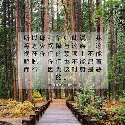 Picture 07 - 弥 迦 书 2:3 CUVS - 所 以 耶 和 华 如 此 说 ： 我 筹 划 - Bible Verse Picture