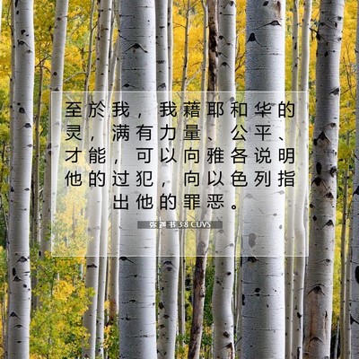 Picture 07 - 弥 迦 书 3:8 CUVS - 至 於 我 ， 我 藉 耶 和 华 的 灵 ， - Bible Verse Picture