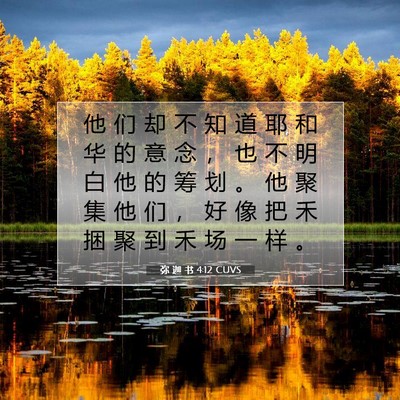 Picture 07 - 弥 迦 书 4:12 CUVS - 他 们 却 不 知 道 耶 和 华 的 意 念 - Bible Verse Picture
