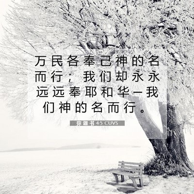 Picture 07 - 弥 迦 书 4:5 CUVS - 万 民 各 奉 己 神 的 名 而 行 ； 我 - Bible Verse Picture