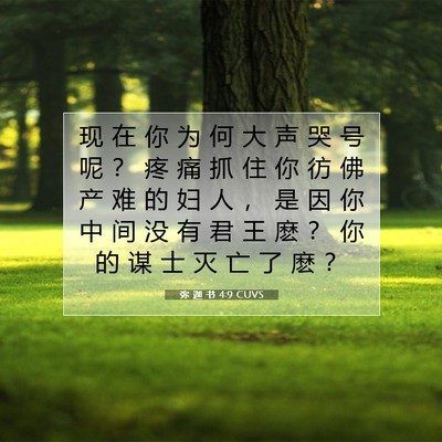 Picture 07 - 弥 迦 书 4:9 CUVS - 现 在 你 为 何 大 声 哭 号 呢 ？ 疼 - Bible Verse Picture