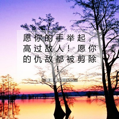 Picture 07 - 弥 迦 书 5:9 CUVS - 愿 你 的 手 举 起 ， 高 过 敌 人 ！ - Bible Verse Picture