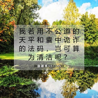 Picture 07 - 弥 迦 书 6:11 CUVS - 我 若 用 不 公 道 的 天 平 和 囊 中 - Bible Verse Picture
