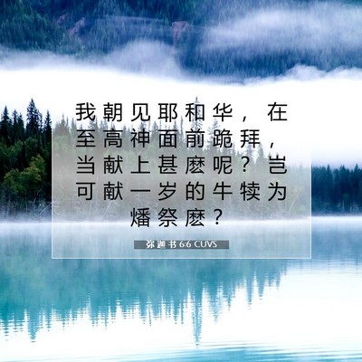 Picture 07 - 弥 迦 书 6:6 CUVS - 我 朝 见 耶 和 华 ， 在 至 高 神 面 - Bible Verse Picture