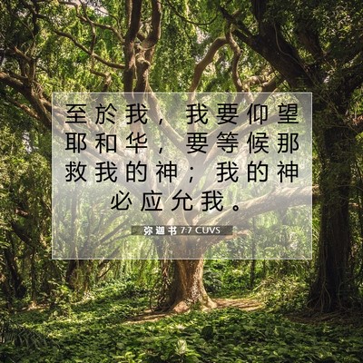 Picture 07 - 弥 迦 书 7:7 CUVS - 至 於 我 ， 我 要 仰 望 耶 和 华 ， - Bible Verse Picture