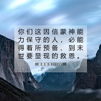 Picture 07 - 彼 得 前 书 1:5 CUVS - 你 们 这 因 信 蒙 神 能 力 保 守 的 - Bible Verse Picture