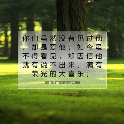 Picture 07 - 彼 得 前 书 1:8 CUVS - 你 们 虽 然 没 有 见 过 他 ， 却 是 - Bible Verse Picture