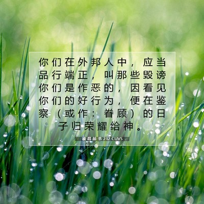 Picture 07 - 彼 得 前 书 2:12 CUVS - 你 们 在 外 邦 人 中 ， 应 当 品 行 - Bible Verse Picture