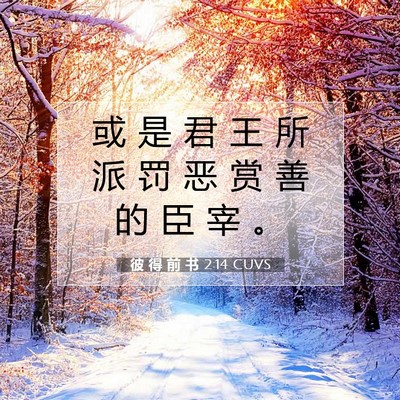 Picture 07 - 彼 得 前 书 2:14 CUVS - 或 是 君 王 所 派 罚 恶 赏 善 的 臣 - Bible Verse Picture