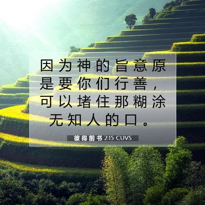 Picture 07 - 彼 得 前 书 2:15 CUVS - 因 为 神 的 旨 意 原 是 要 你 们 行 - Bible Verse Picture