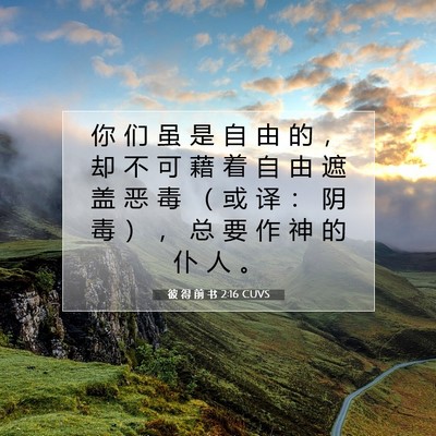 Picture 07 - 彼 得 前 书 2:16 CUVS - 你 们 虽 是 自 由 的 ， 却 不 可 藉 - Bible Verse Picture